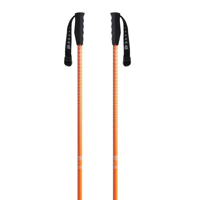 Meta Ski Poles