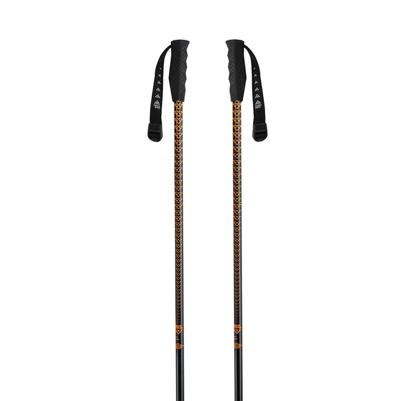 Meta Ski Poles