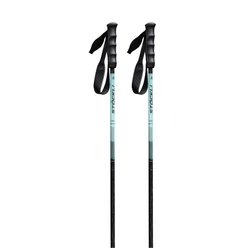 Carbon Motion Ski Poles