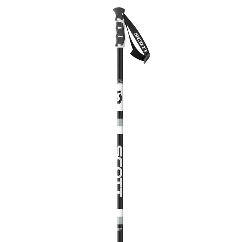 Sun Valley Ski Poles