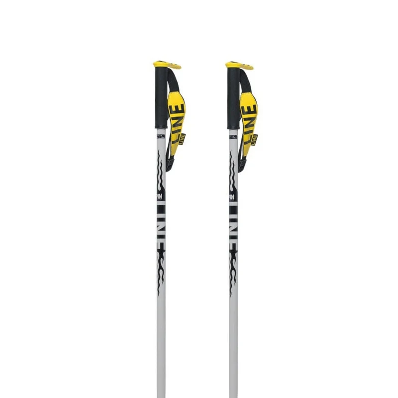 Pin Ski Poles