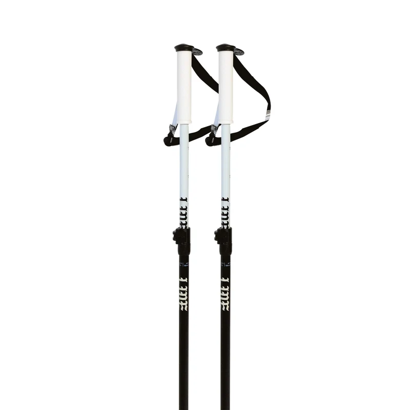 Paintbrush Ski Poles
