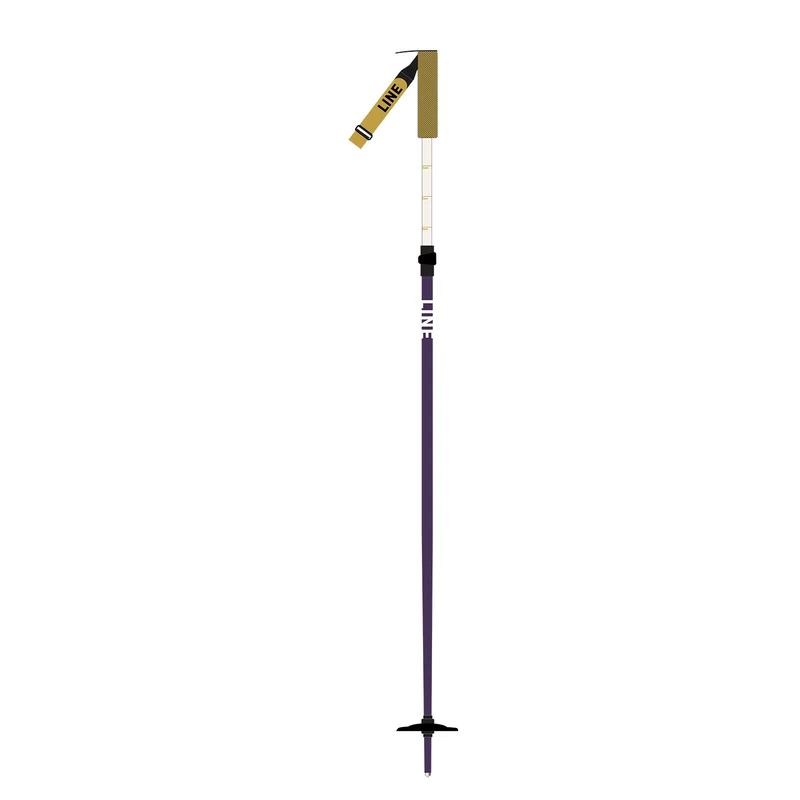 Paintbrush Adjustable Ski Poles 2026