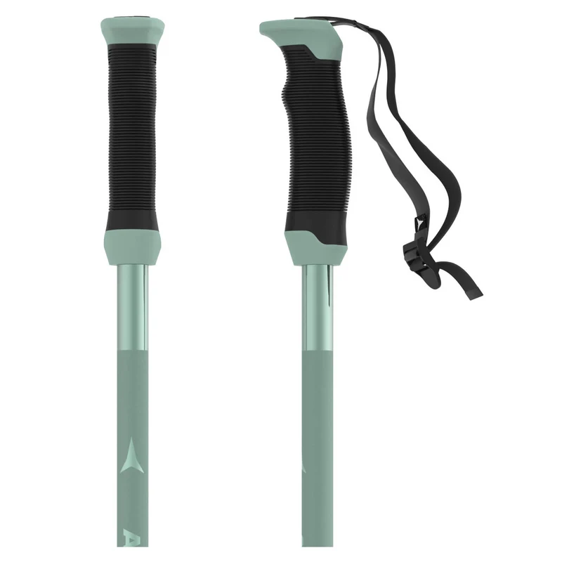AMT SQS W Ski Pole
