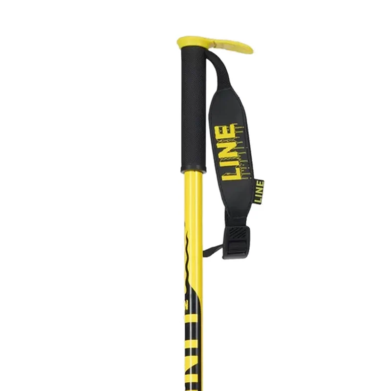 Pin Ski Poles