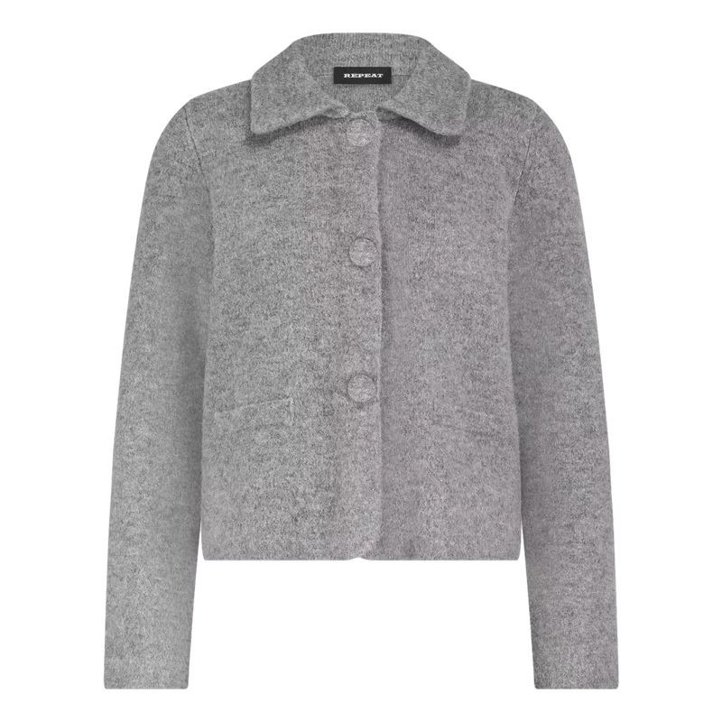 Repeat Cashmere Vest Grijs - Match Laren