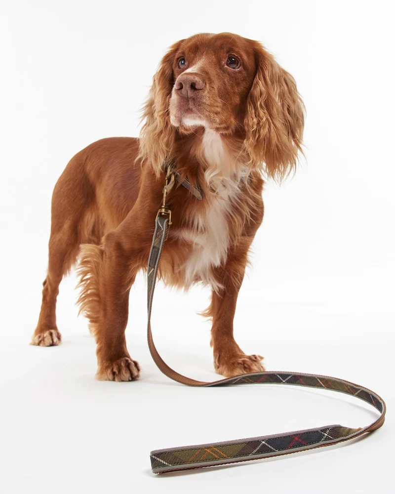 Reflective Tartan Lead Classic