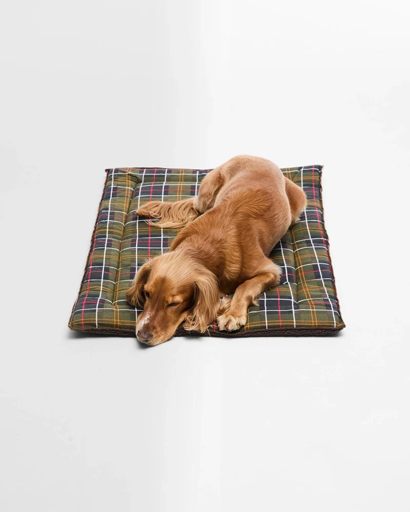 Cage Dog Mattress