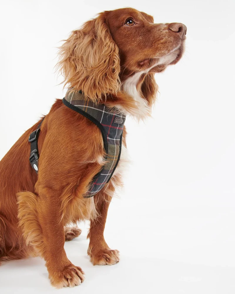 Classic Tartan Dog Harness