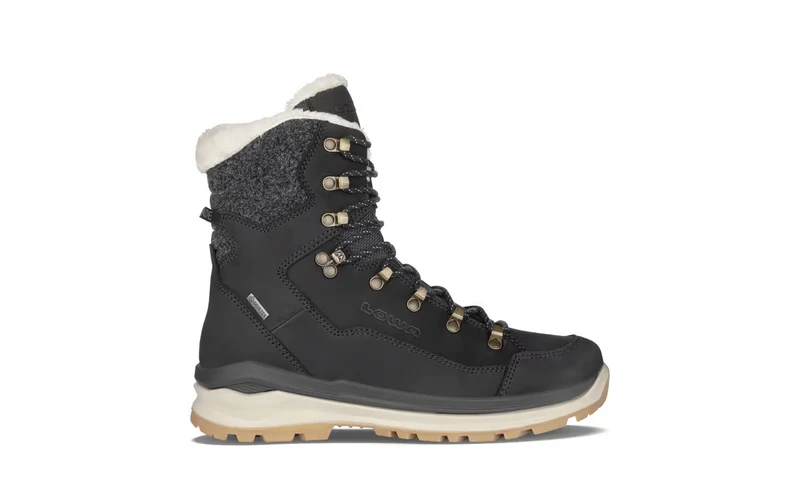 Renegade Evo ICE 2 GTX Ws