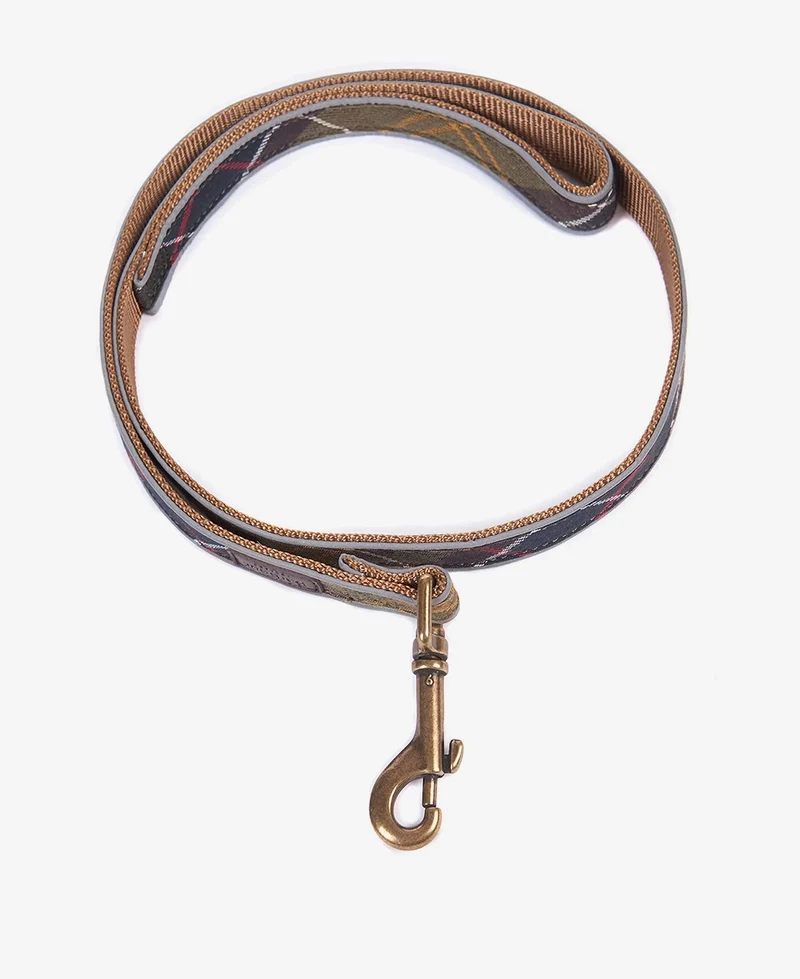 Reflective Lead