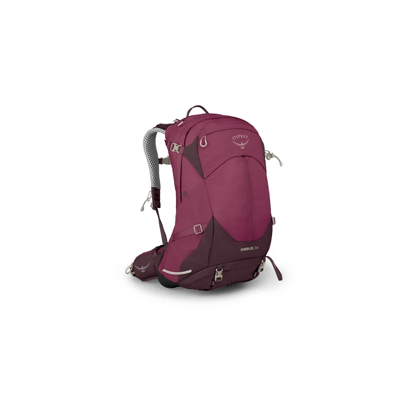 Sirrus 34 elderberry purple