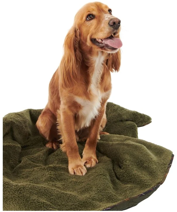 Dog bone quilted blanket