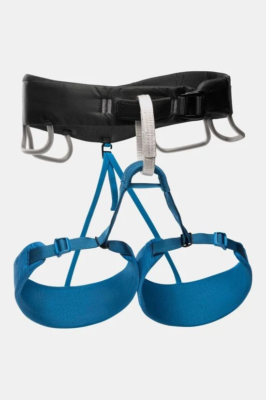 Momentum Harness
