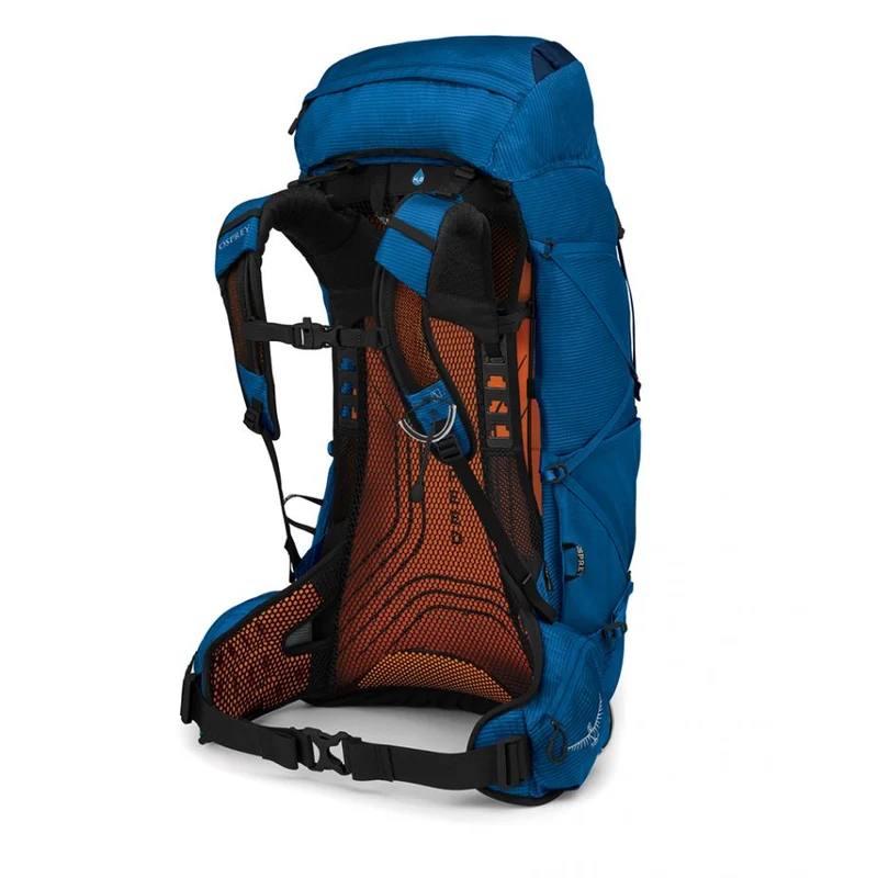 Exos 48 blue ribbon S/M