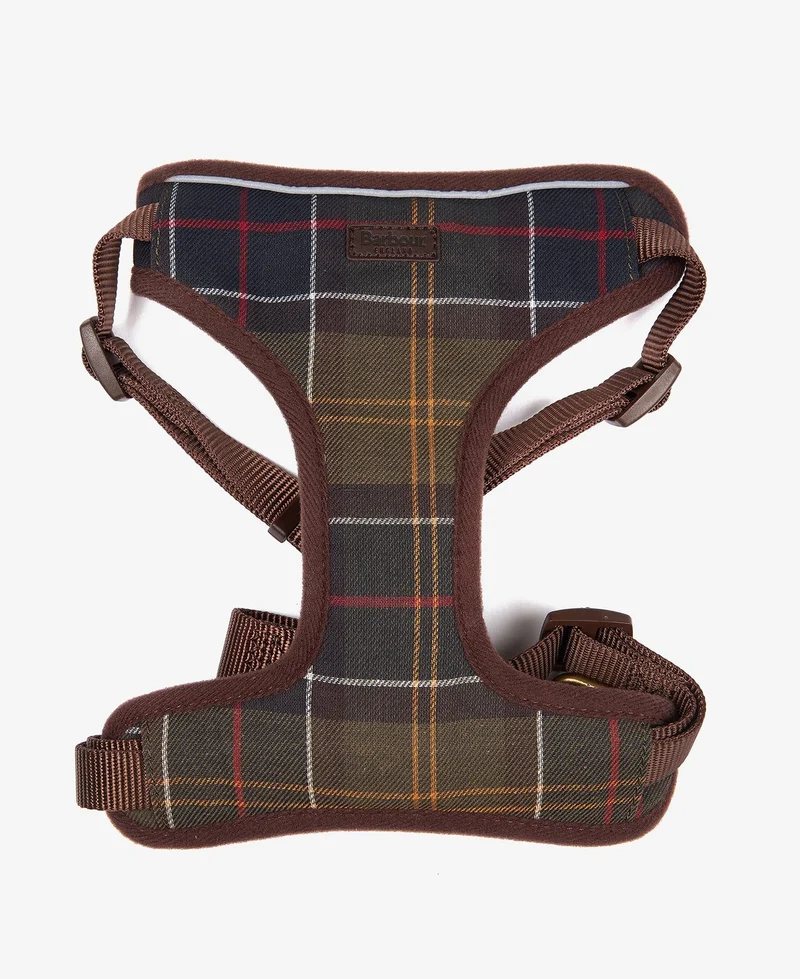Travel & Excercise Harness
