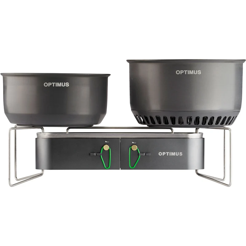 Gemini brander