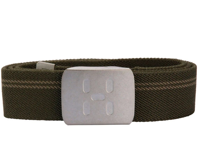 Webbing belt