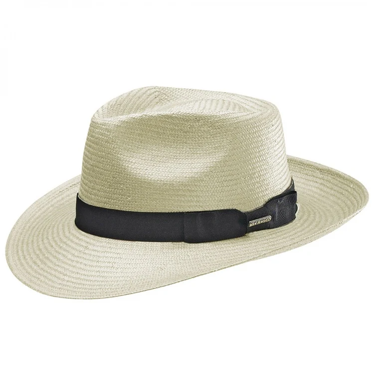 Traveller panama