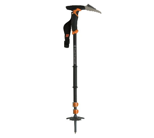 Carbon whippet ski pole