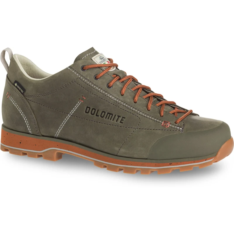 Shoe 54 Low Fg Evo GTX