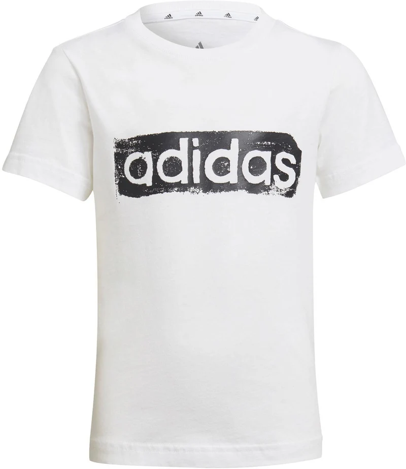 B G T2